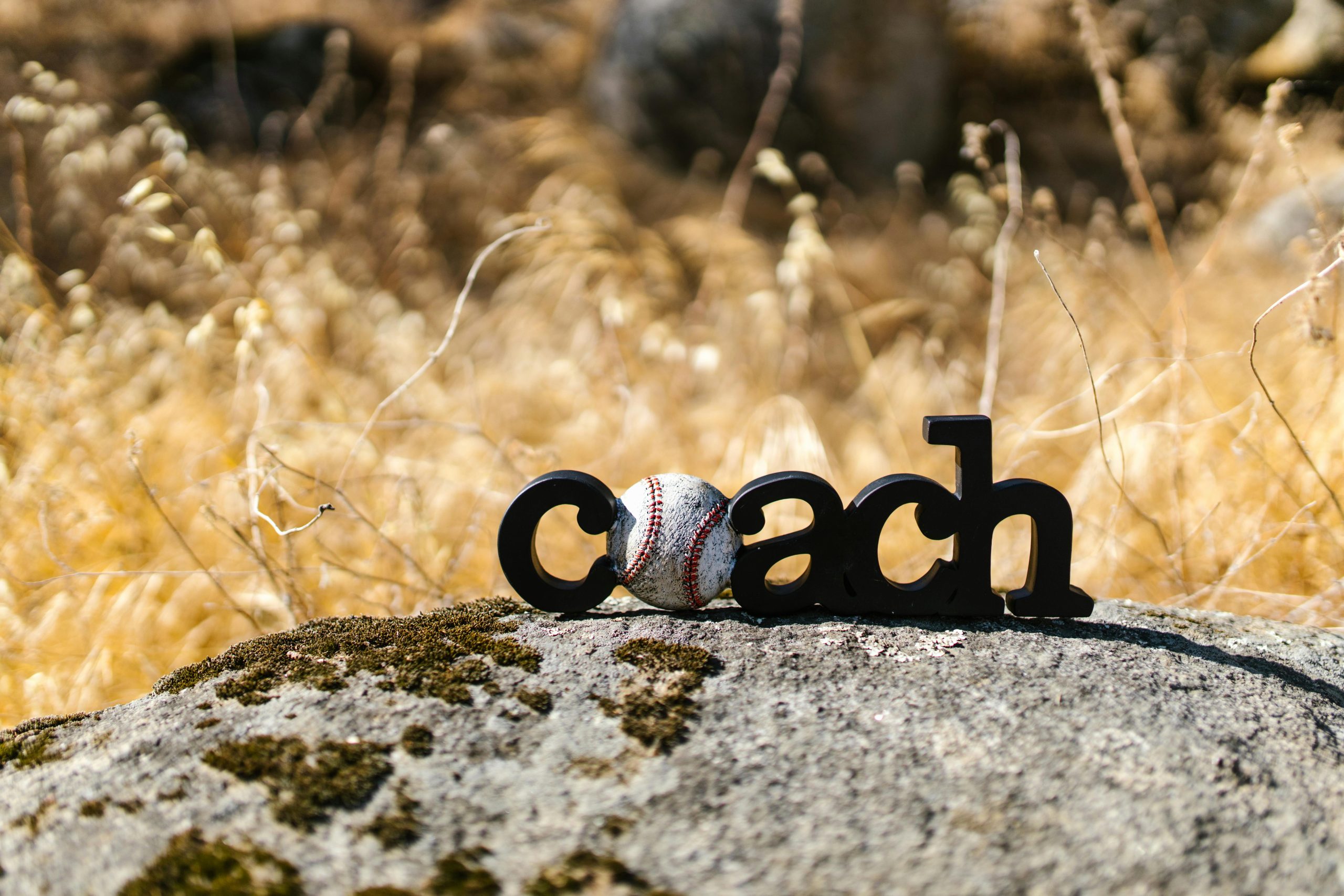 coach en ressources humaines